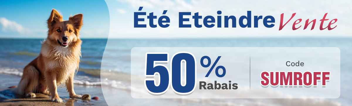 Sale Banner