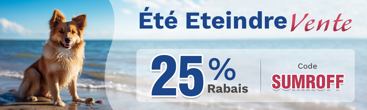 Sale Banner