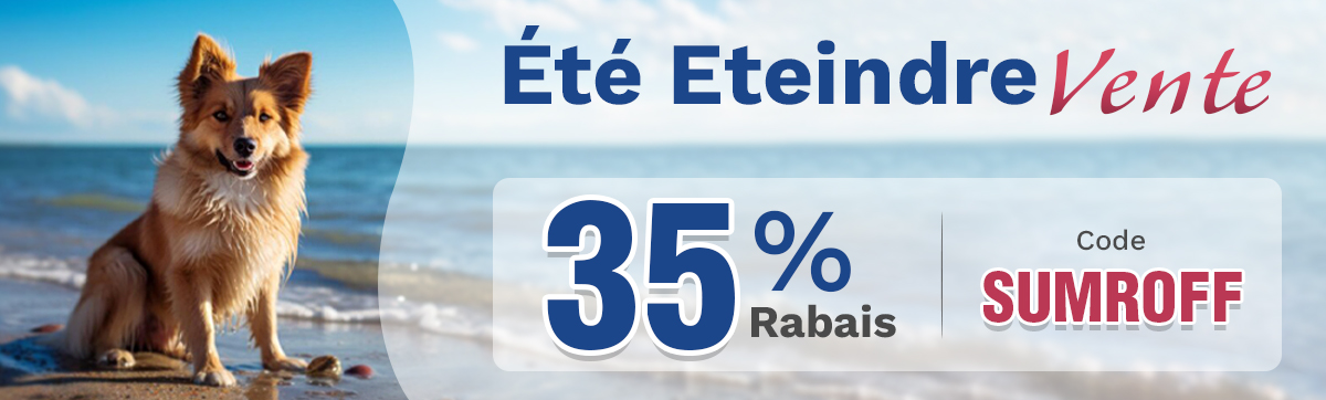Sale Banner