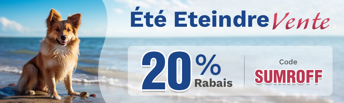 Sale Banner