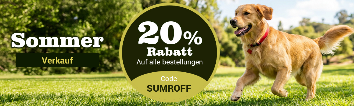 Sale Banner