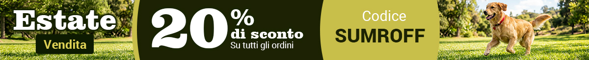Sale Banner