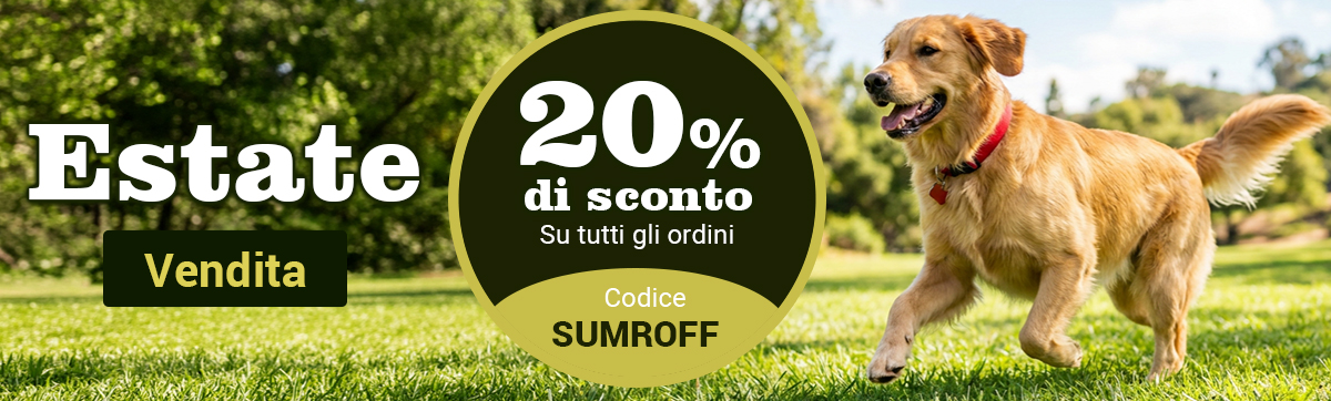 Sale Banner